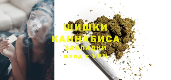 ПСИЛОЦИБИНОВЫЕ ГРИБЫ Арсеньев