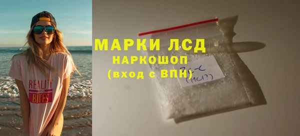 ПСИЛОЦИБИНОВЫЕ ГРИБЫ Арсеньев