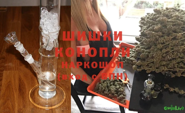 ПСИЛОЦИБИНОВЫЕ ГРИБЫ Арсеньев